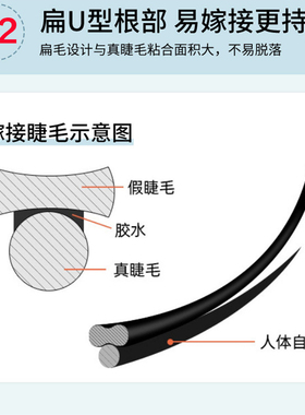 嫁接扁毛睫毛中的爱马仕单根