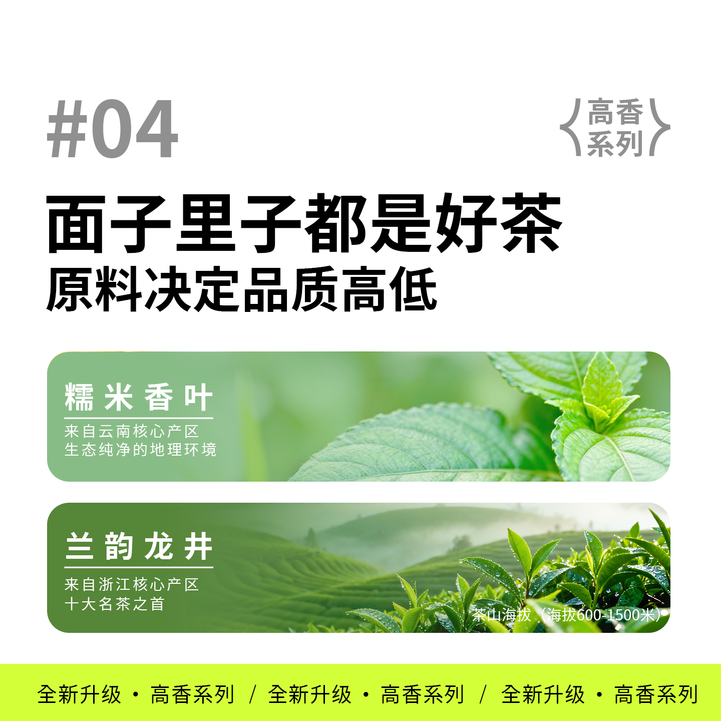 dudupanda冻干鲜萃高香糯兰龙井冷萃茶超即溶茶粉茶珍速溶冻干粉,淘宝优惠券,粉丝福利购,淘宝优惠卷