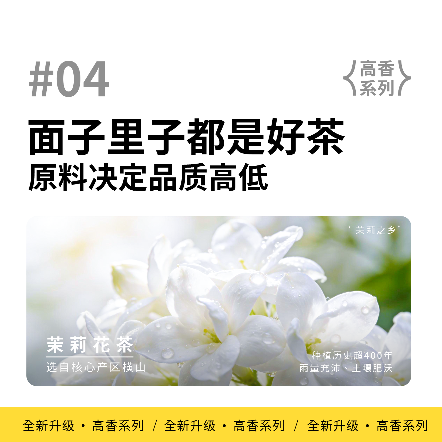 dudupanda精萃即溶茉莉花茶粉精粹即溶茶茶珍速溶茶冷萃冷泡茶,淘宝优惠券,粉丝福利购,淘宝优惠卷