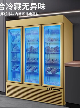 牛肉干湿式熟成柜红酒柜恒温商用冷藏西餐厅和牛冷冻展示柜排酸柜