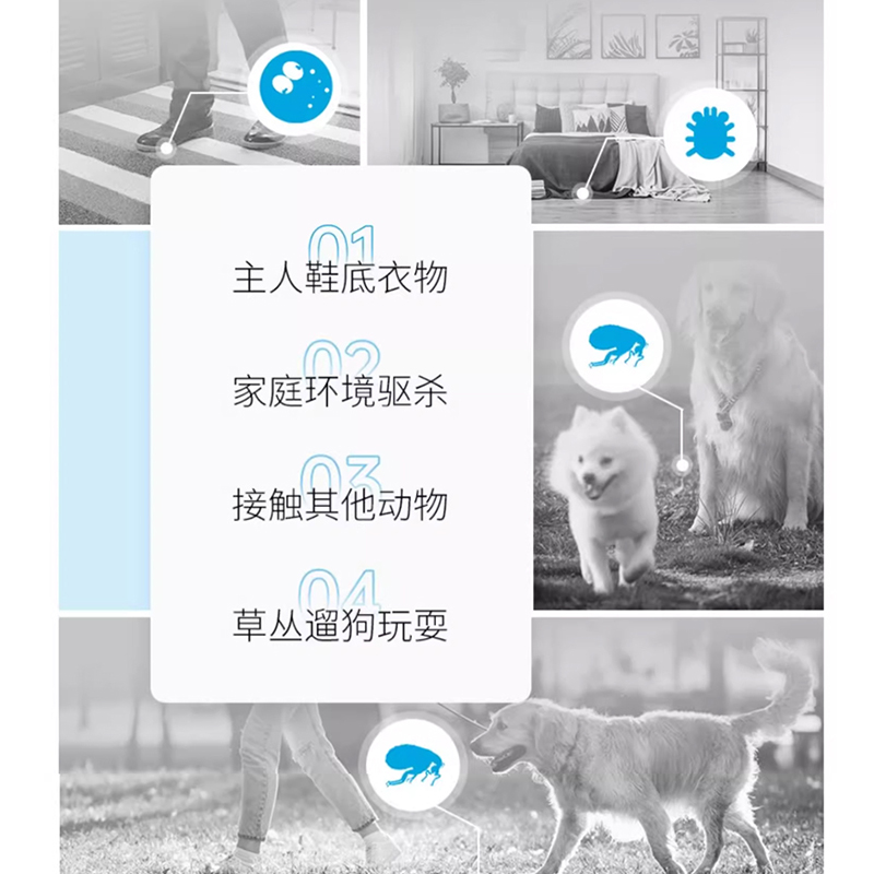非泼罗尼喷雾去跳蚤蜱虫宠物小狗狗猫咪体内体外一体驱虫药喷剂雾 - 图2