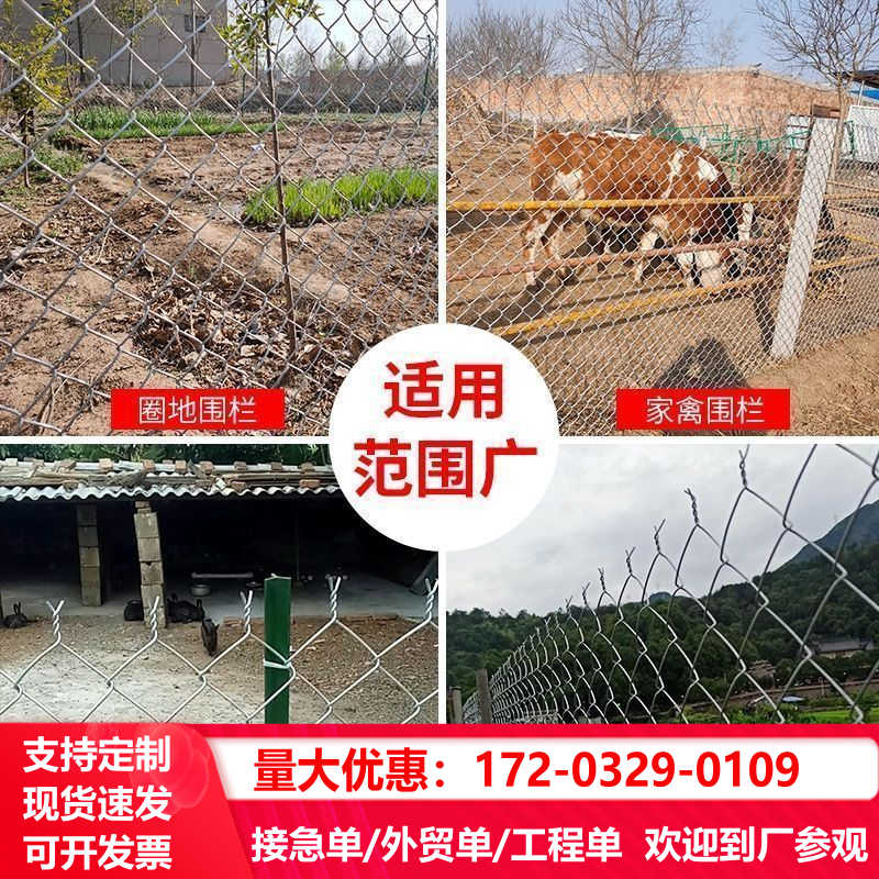 镀锌钢丝网防锈铁网格网养殖铁丝网加粗果园加厚围栏网菱形勾花网 - 图2