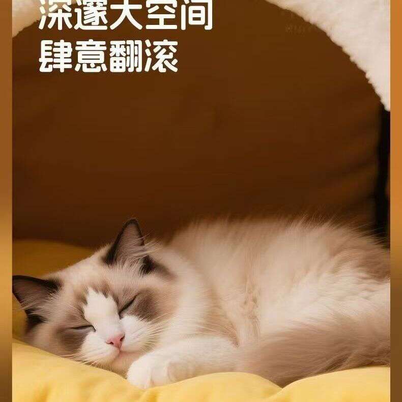 商品缩略图 4