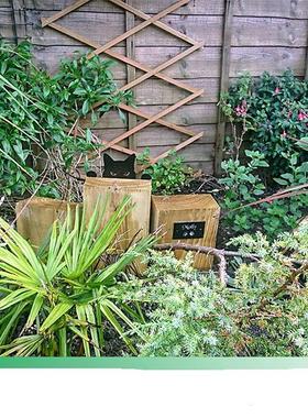 窥视猫装饰金属剪影花园农场跨境电商北美欧洲产品非质量不退换