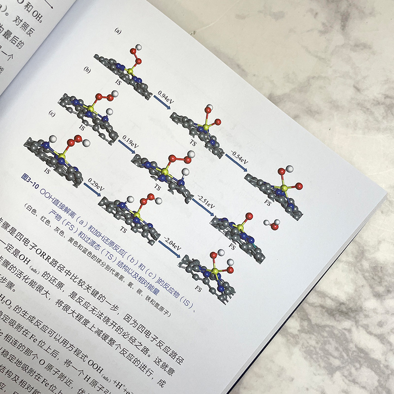 氮杂碳纳米材料催化氧还原反应 机理及性能研究 张静 氮杂碳纳米材料催化剂的研究背景和意义 电化学催化剂研究人员参考