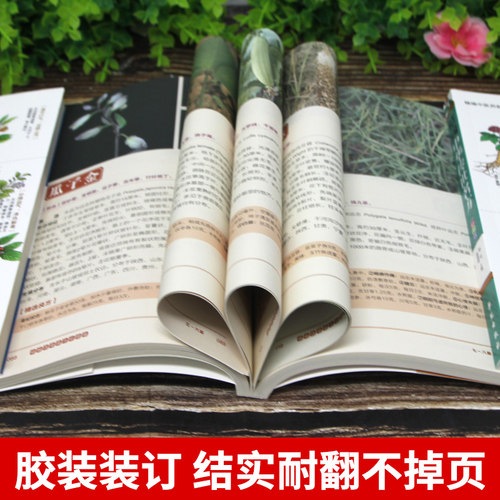 精编百草良方彩图版 常见中草药手册图谱 中草药全图鉴大全书 常见病中成药疗法医药学千家药方精选良方中国土单方老偏方中草药书 - 图1