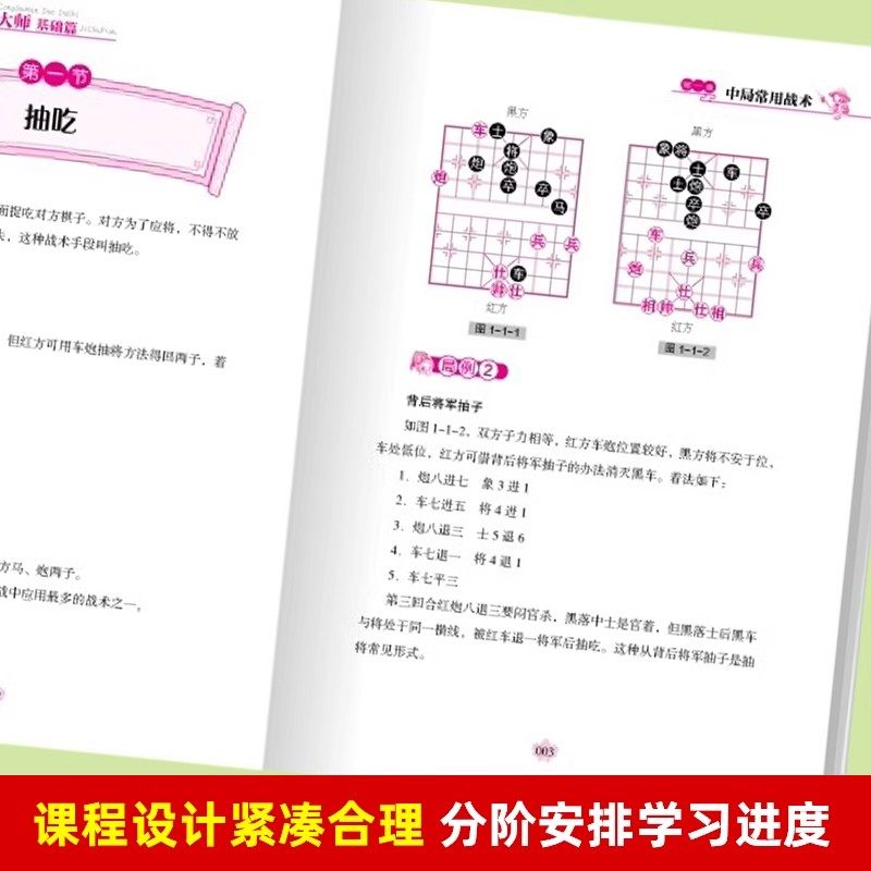 青少年象棋从入门到大师 象棋书大全棋谱儿童象棋入门书少儿儿童象棋入门书籍初学者基础教程象棋教学用书,淘宝优惠券,粉丝福利购,淘宝优惠卷