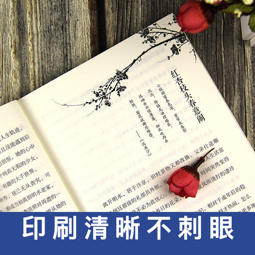 正版李清照词传 半世烟雨 半世落花 千古才女的诗词一生 中国古诗词鉴赏辞典 古典文学人物传记青春文学诗词歌赋书籍全集 - 图0