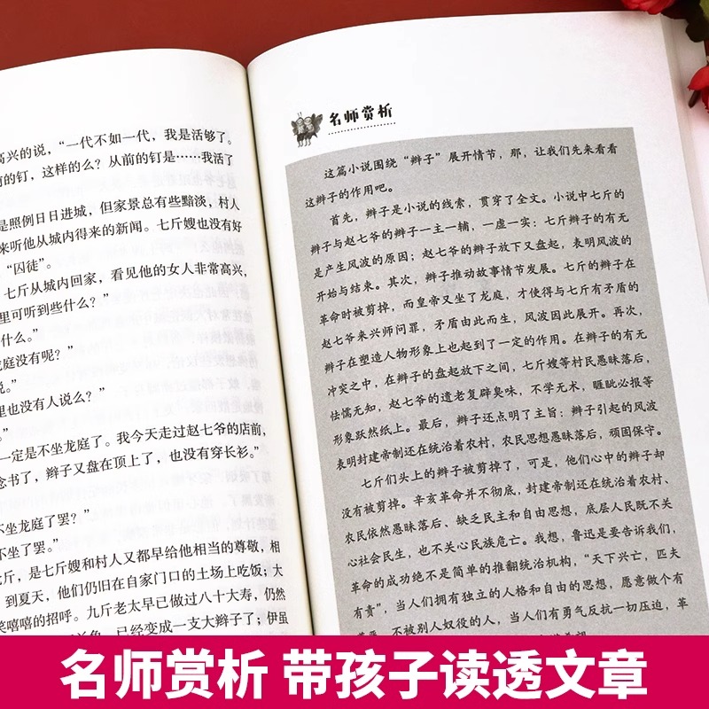 鲁迅经典作品全集正版小说药杂文集文集散文集适合初中生小学生阅读的课外书籍必读原著故乡从百草园到三味书屋阿长与山海经孔乙己-图3