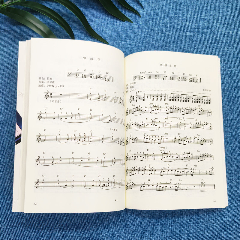 电子琴入门一本通正版电子琴自学教学书籍校园好声音音乐普及系列丛书从零起步学入门简谱电子琴教材 电子琴专用指导用书一本通,淘宝优惠券,粉丝福利购,淘宝优惠卷