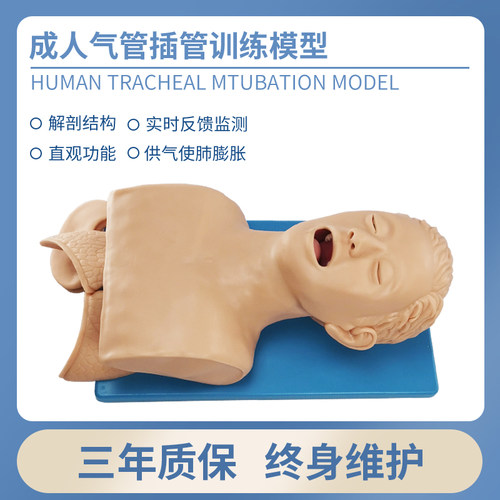 电子成人气管插管模型带牙齿警报人体插管模拟训练假人口鼻插管 - 图1