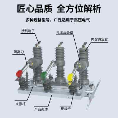 ZW32-12G/630高压真空断路器10KV看门狗手动户外柱上开关带隔离刀 - 图0