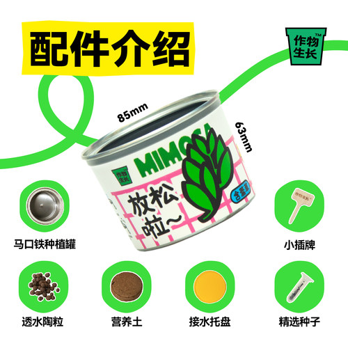 作物生长种植罐头2.0升级版盆栽套装桌面绿植物情绪价值创意礼物 - 图1
