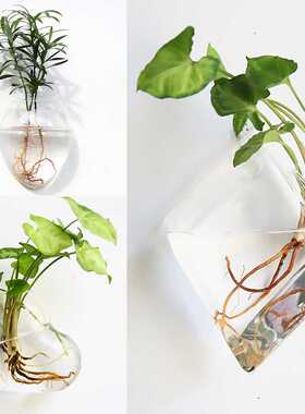 Wall Hanging Glass Vase Terrarium Hydroponic Plant Vases Wal