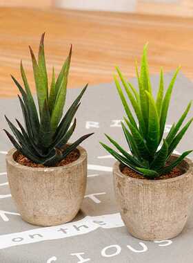 Zinmol Exquisite home decoration Fashion Artificial plants