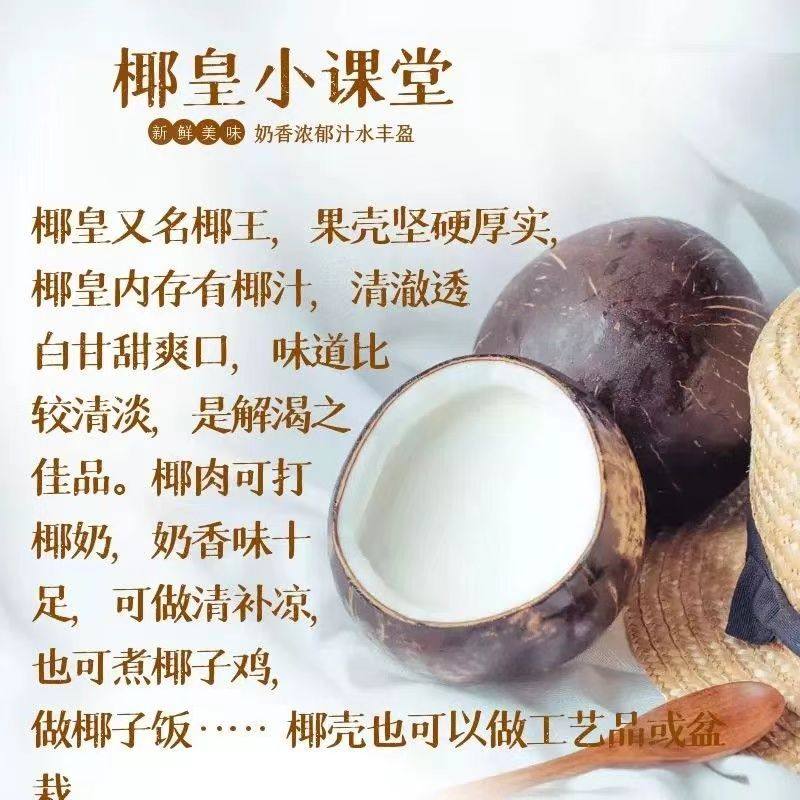 海南牛奶黑椰皇冻椰子小椰皇水耶子当季水果产地直发老椰子肉椰汁,淘宝优惠券,粉丝福利购,淘宝优惠卷