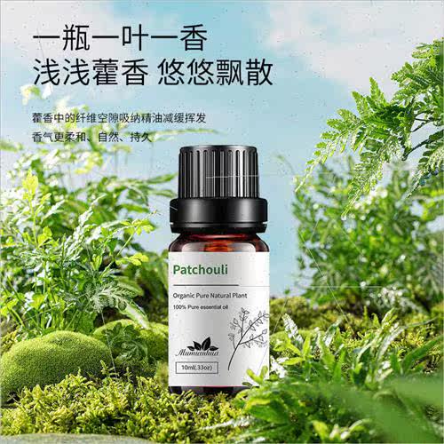 Patchouli Patchouli ngle Essential Oil Plant to remove summe - 图2