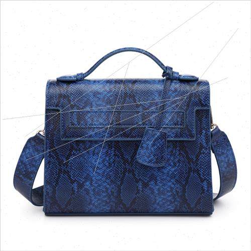 Women bag do sample do  2021 fall new handbag women bag snak - 图0