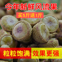 New goods 23 years wild wind Stream fruit production New with leather Wind flow Fruit original fruit stone Fruit Stones Fruits Nourishing 500g