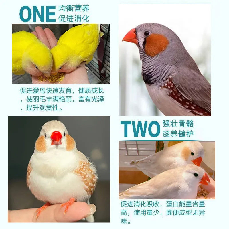 文鸟混合鸟粮营养丰富宠物鸟毛色靓丽健康专用补充营养鸟零食饲料,淘宝优惠券,粉丝福利购,淘宝优惠卷