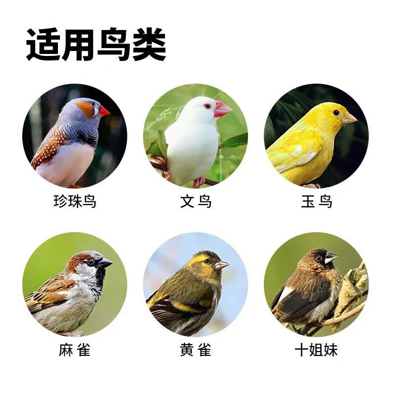文鸟混合鸟粮营养丰富宠物鸟毛色靓丽健康专用补充营养鸟零食饲料,淘宝优惠券,粉丝福利购,淘宝优惠卷
