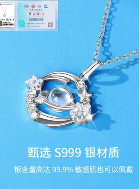 2025新款S999纯银锁骨项链配饰女轻奢小众设计高级感生日礼物送友