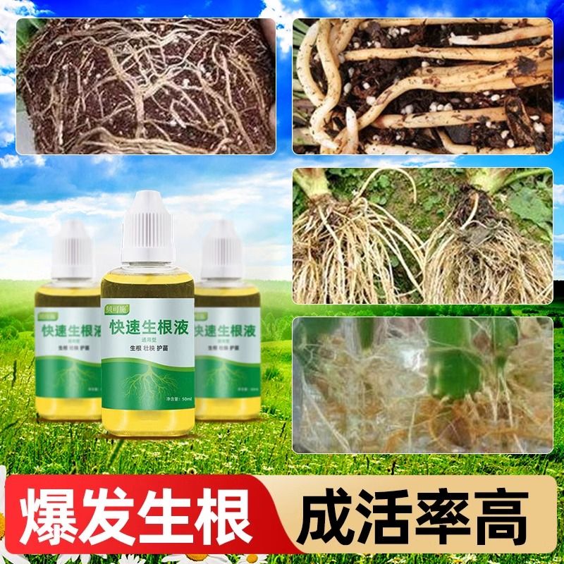 植物快速生根液水培移栽壮苗剂扦插育苗通用营养液生根壮秧护苗 - 图2