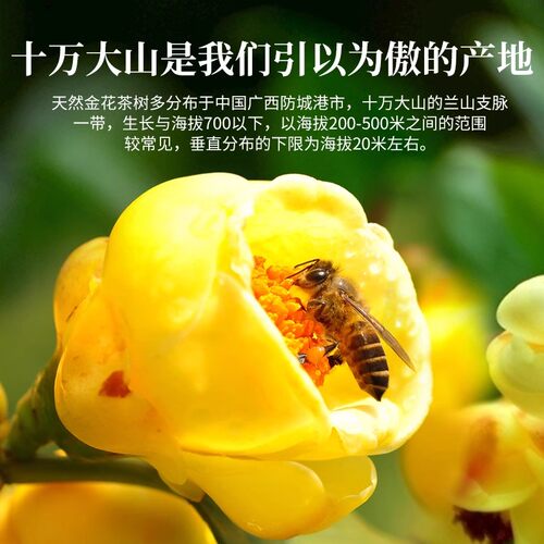 特级金花茶特级冻干金花烘干花广西防城港市十万大山防普金花茶叶 - 图1