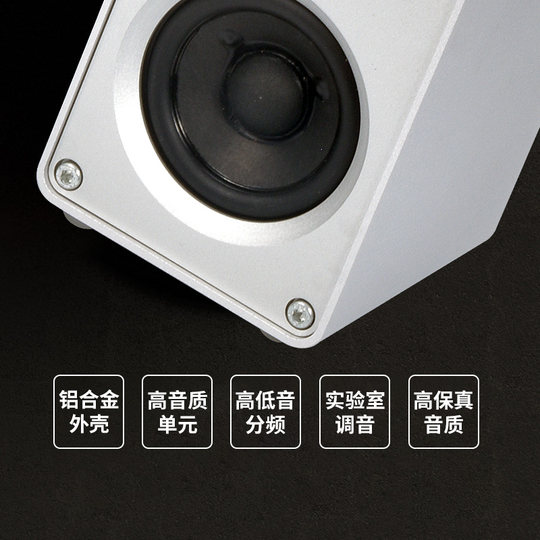BRZHIFI 2.5寸迷你小音箱 电脑台式家用无源音箱 发烧人声书架箱