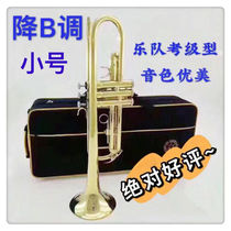 Brand new trumpet instrument descent B-tune student adult beginner versatile trumpet instrument band church play