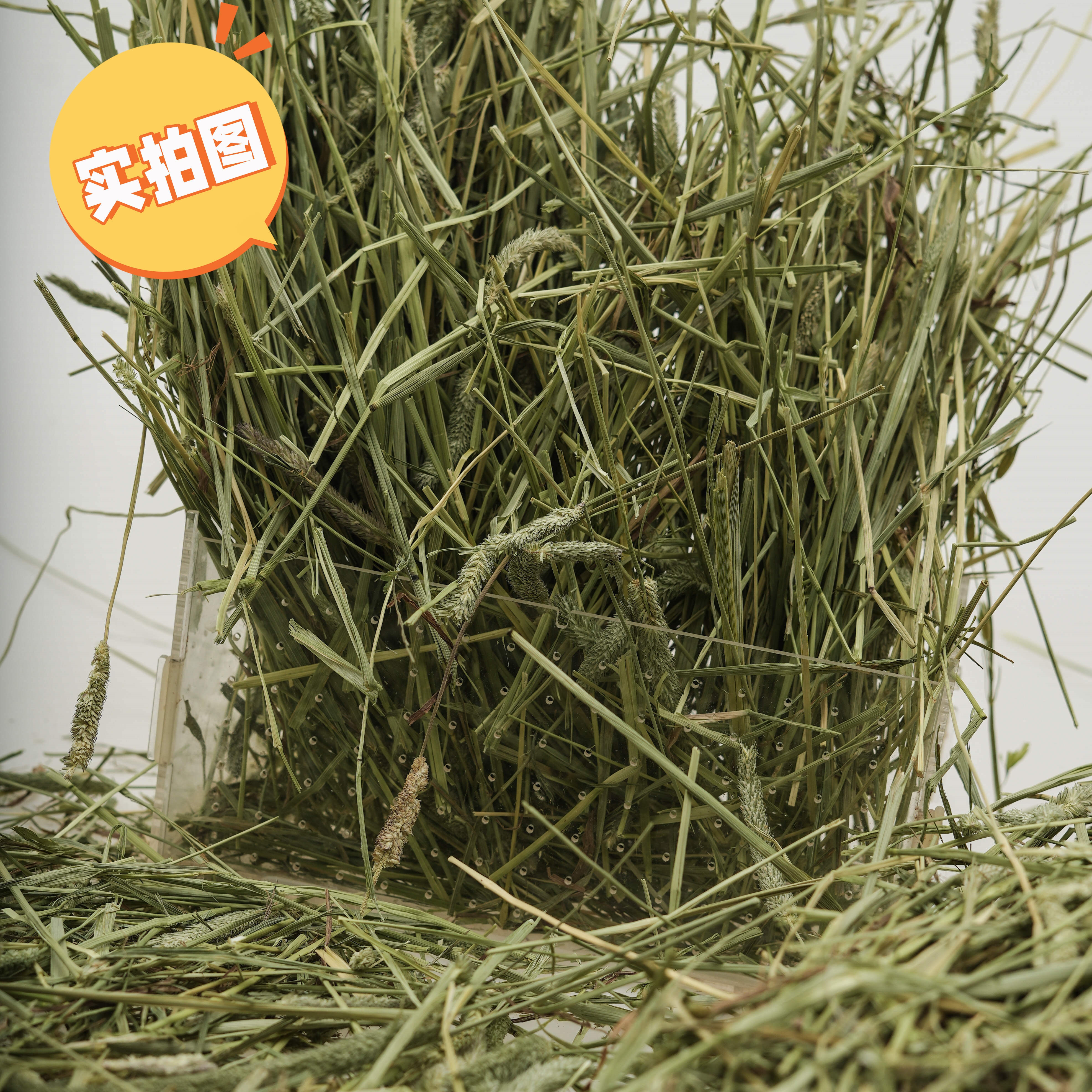 加拿大进口提摩西晒干草一番,淘宝优惠券,粉丝福利购,淘宝优惠卷