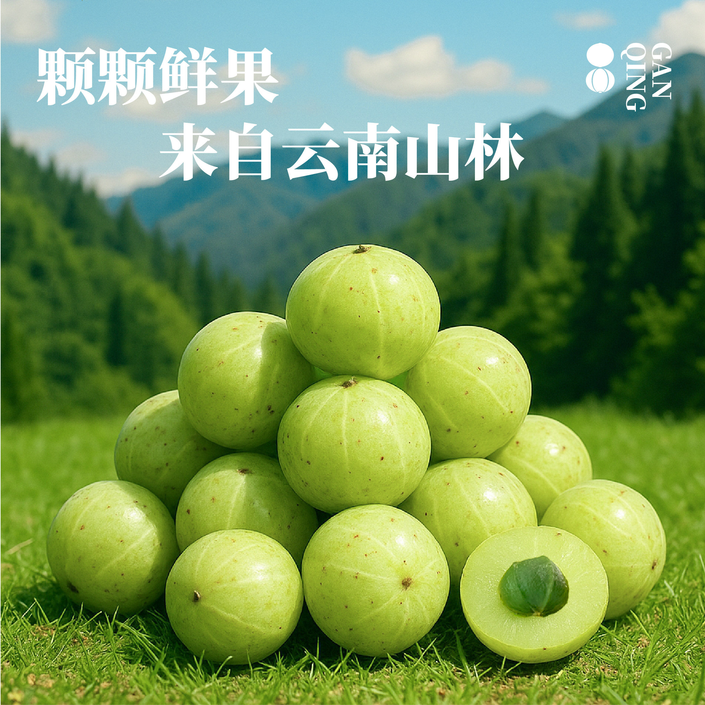 【罗永浩专享】HOHO橄清茉莉花果汁润喉鲜果生榨橄榄清火去油饮料