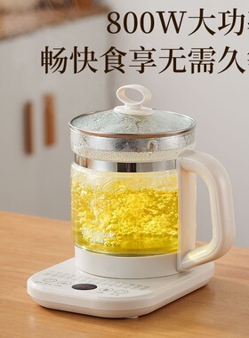 新款养生壶家用大容量煮茶器