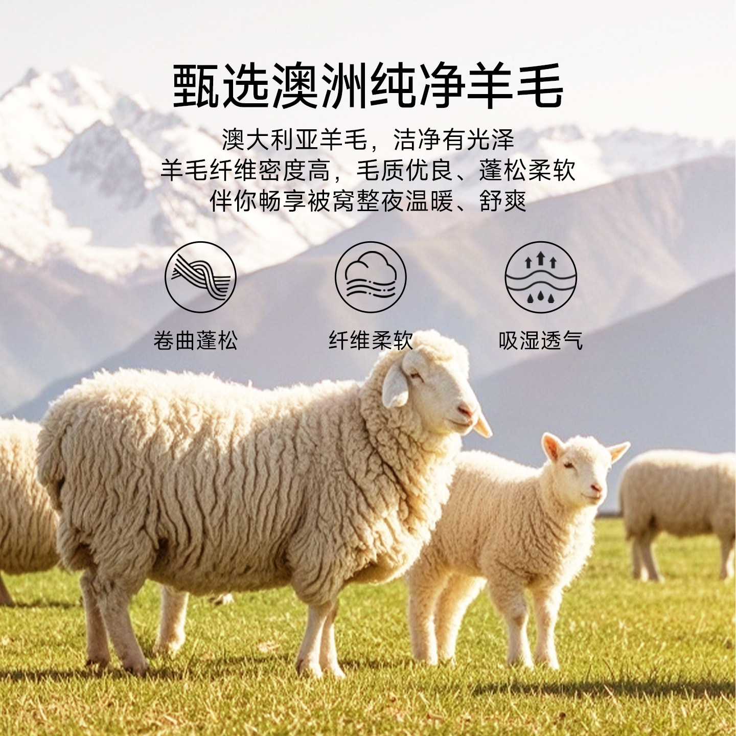 TeenieWeenie澳洲进口羊毛抗菌保暖被芯春秋被学生宿舍四季被子,淘宝优惠券,粉丝福利购,淘宝优惠卷