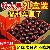 Cisfeng Fresh Chilean Carts Imported Fruit J2 Catty Cherry JJ Mega Fruit Gift Boxes 3J pregnant women
