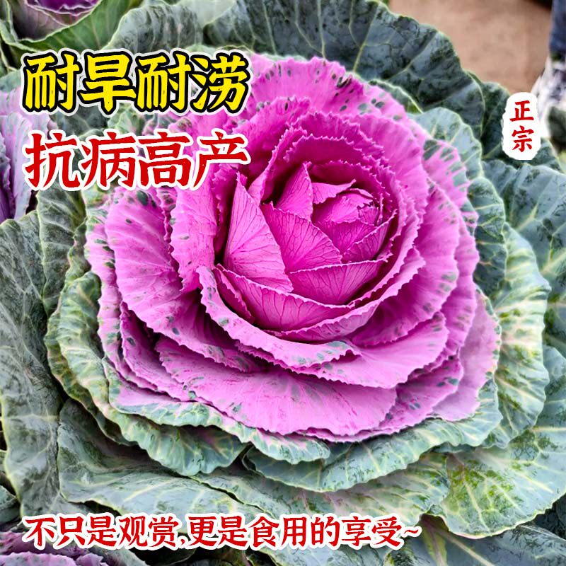 图 4