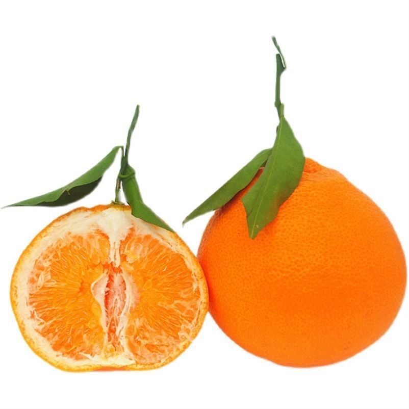 四川春见耙耙柑粑粑柑正宗水果新鲜整箱当季丑桔新鲜10斤橘子包邮,淘宝优惠券,粉丝福利购,淘宝优惠卷