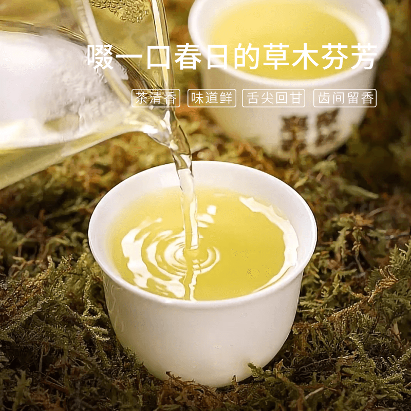 琴茶书苑 上犹五指峰扶记毛尖绿茶 高山云雾早春绿茶 300g 罐装