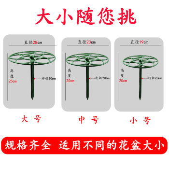 Sunflower lollipop shape bracket leaf cactus crab claw orchid grafting single-layer multi-layer support climbing flower stand