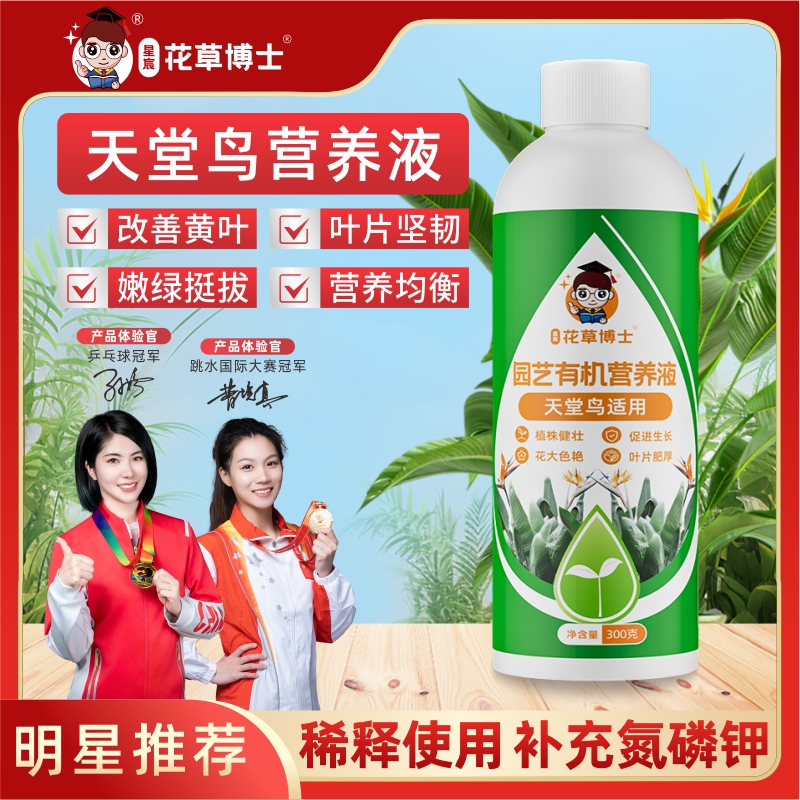 花草博士天堂鸟专用营养液黄叶卷边家用盆栽花卉植物通用型花肥料