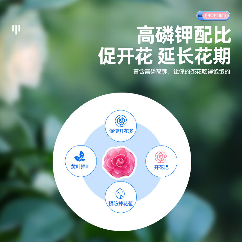 茶花专用肥促开花营养液山茶花树苗盆栽喜酸植物通用肥料防治黄叶,淘宝优惠券,粉丝福利购,淘宝优惠卷