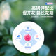Camellia special fertilizer to promote flowering nutrient solution camellia