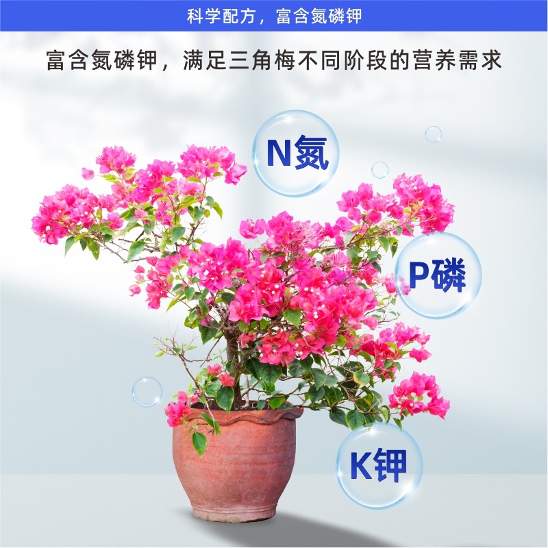 三角梅专用营养液枝繁叶茂促开花爆花家用花卉催花液体花肥肥料,淘宝优惠券,粉丝福利购,淘宝优惠卷