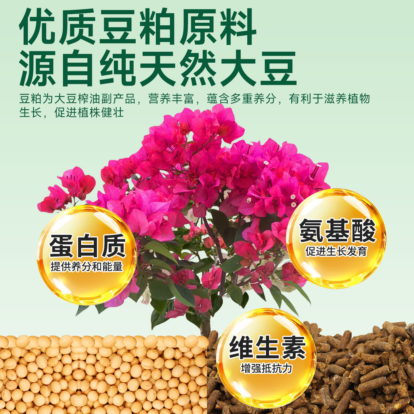 花草博士豆粕有机肥料花卉绿植室内盆栽家用园艺专用营养肥饼肥