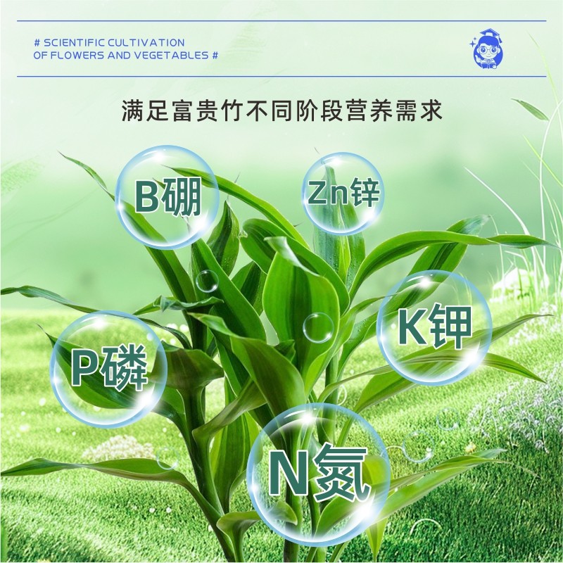 富贵竹专用营养液水培植物防治黄叶促生根观音竹铜钱草通用肥料,淘宝优惠券,粉丝福利购,淘宝优惠卷