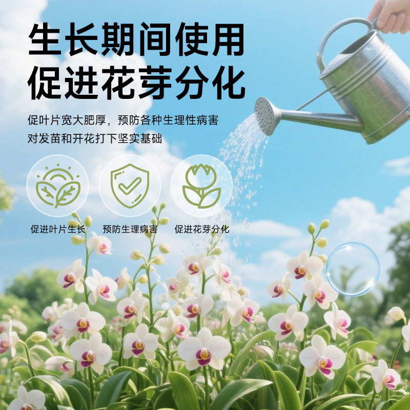 星宸花草博士蝴蝶兰营养液兰花墨兰水培专用开花肥促花肥料兰灵旺