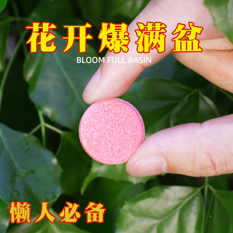 氮磷钾缓释片控释肥花卉绿植园艺盆栽多肉通用型专用肥料家用花肥,淘宝优惠券,粉丝福利购,淘宝优惠卷