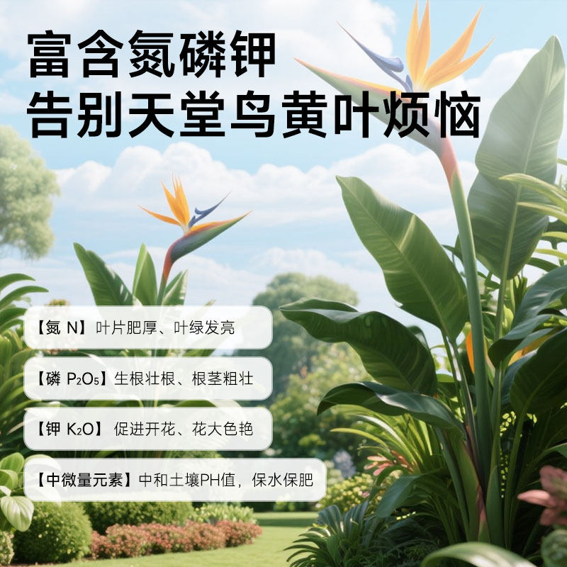 天堂鸟专用营养液肥料绿植黄叶卷边家用盆栽花卉植物通用型花肥料,淘宝优惠券,粉丝福利购,淘宝优惠卷
