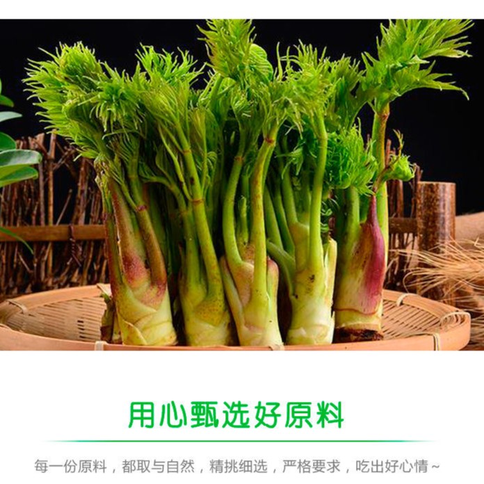 【顺丰快递】东北辽宁新鲜野菜刺嫩芽刺龙芽一份三斤装 - 图1