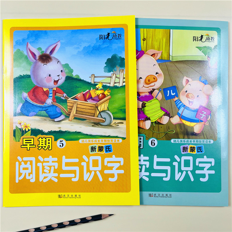 学前阅读与识字书幼小衔接教材用书看图识字学儿歌幼儿园中班认字学前班儿童早期认字 幼小衔接大班上下幼升小3-5-6岁宝宝快乐识字